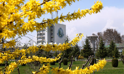 department of tourism kashmir university